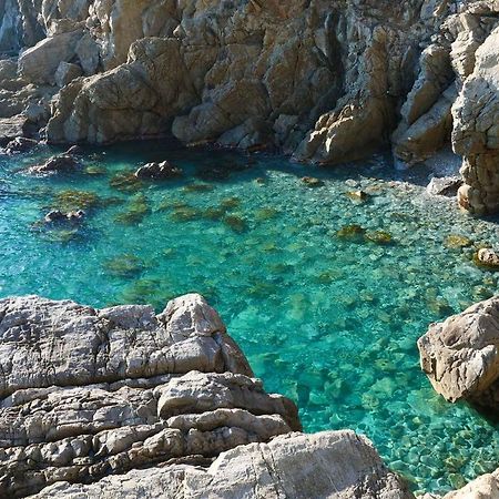 Il Cuore Di Moneglia - Moneglia Apartments Zewnętrze zdjęcie